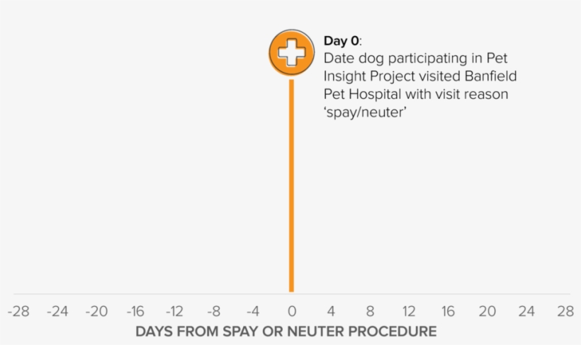 Medical Records As Maps 2 - Medicine, transparent png download