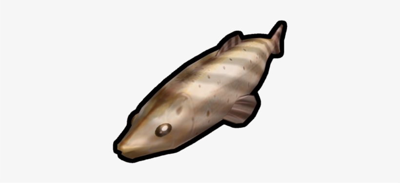 Cooked Fish - Tiger Shark, transparent png download