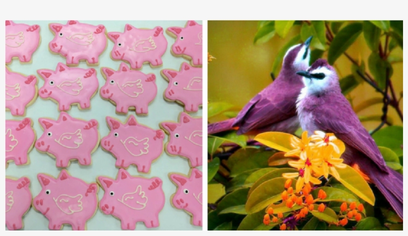 Las Tradiciones Más Extrañas Del Día De Los Enamorados - Purple Birds, transparent png download