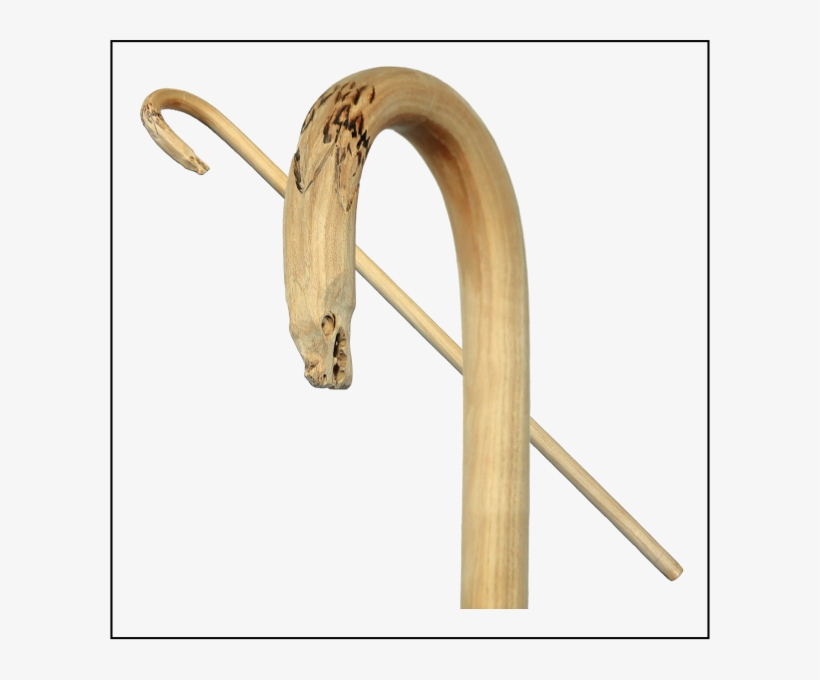 Dragon Head Horn On Pure Hickory Heartwood Stock - Wolf, transparent png download