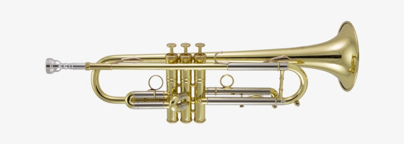 Trumpets - Brass Instruments Trumpet, transparent png download