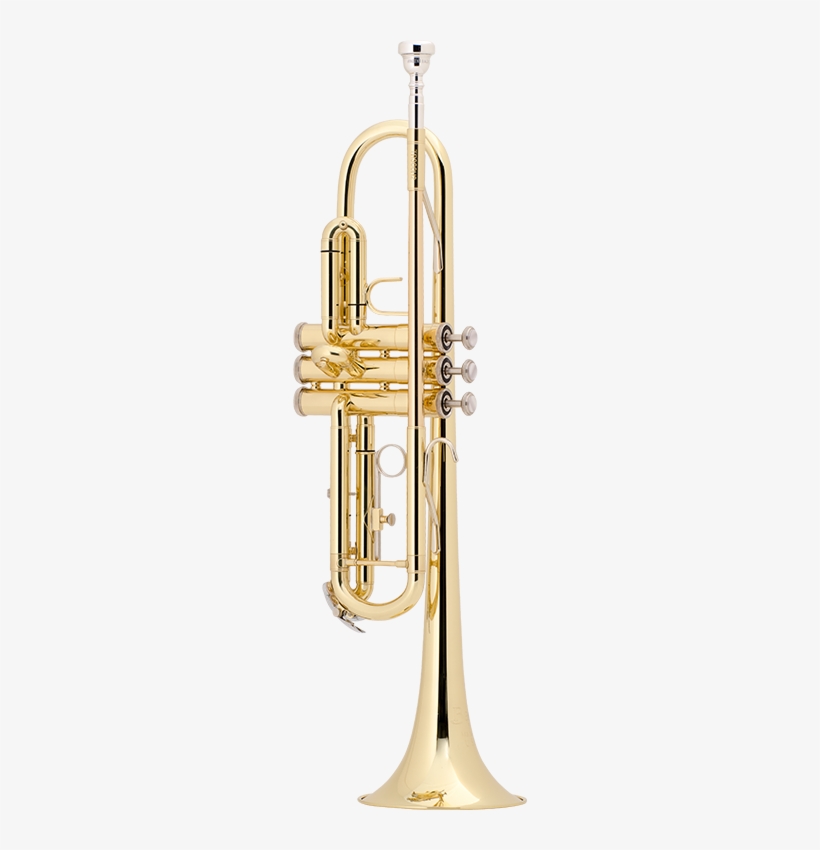 Tr300h2 - Bach Lt180-43 Stradivarius Professional Bb Trumpet, transparent png download