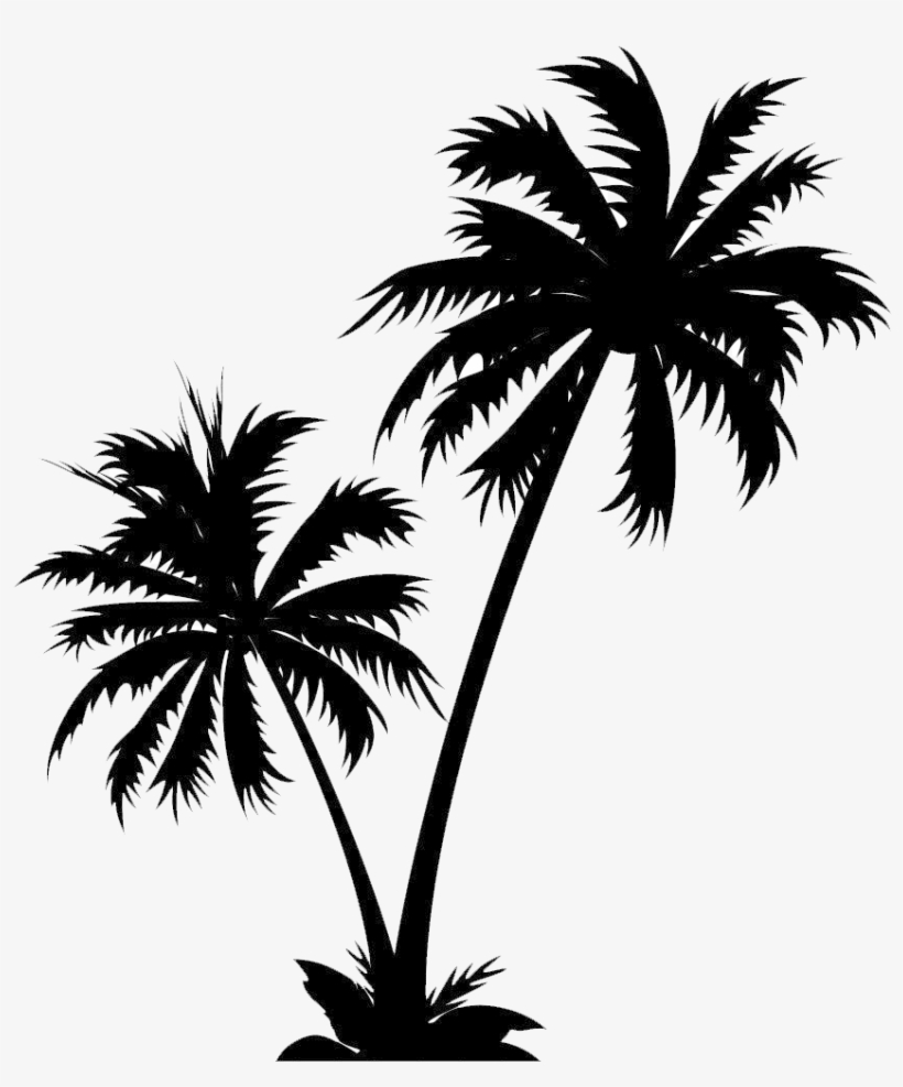 Isle Manage Specializes In White Palm Tree Png - Png White Palm Tree, transparent png download
