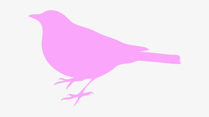 Bird Silhouette Clip Art, transparent png download