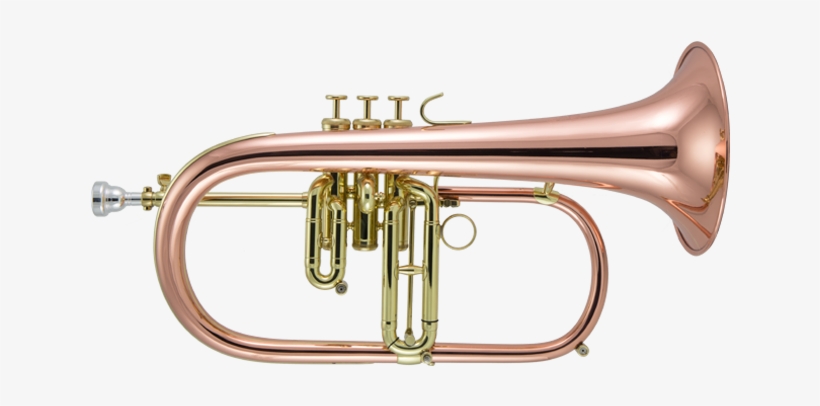 Flugelhorns - Trumpet, transparent png download