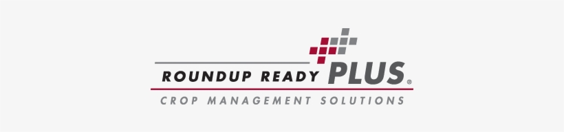 Better Stand During Establishment Means Better Stand - Roundup Ready Plus Incentives, transparent png download
