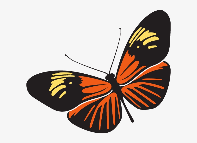 Rama-rama Is The Malaysian Word For Butterfly - Clip Art Rama Rama, transparent png download