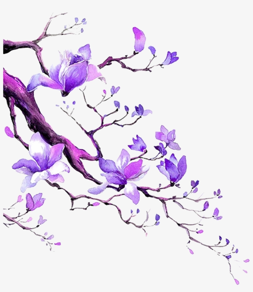 El Algodón Púrpura En Las Ramas - Illustration, transparent png download