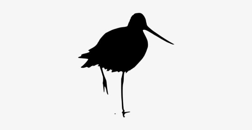 Silhouette - Snipe Bird Silhouette, transparent png download