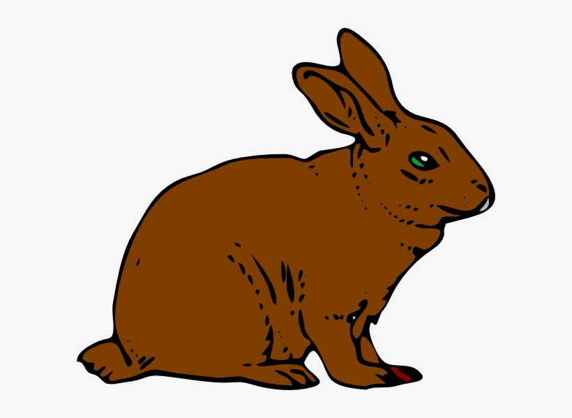 Brown Clipart White Rabbit - Rabbit Clipart, transparent png download