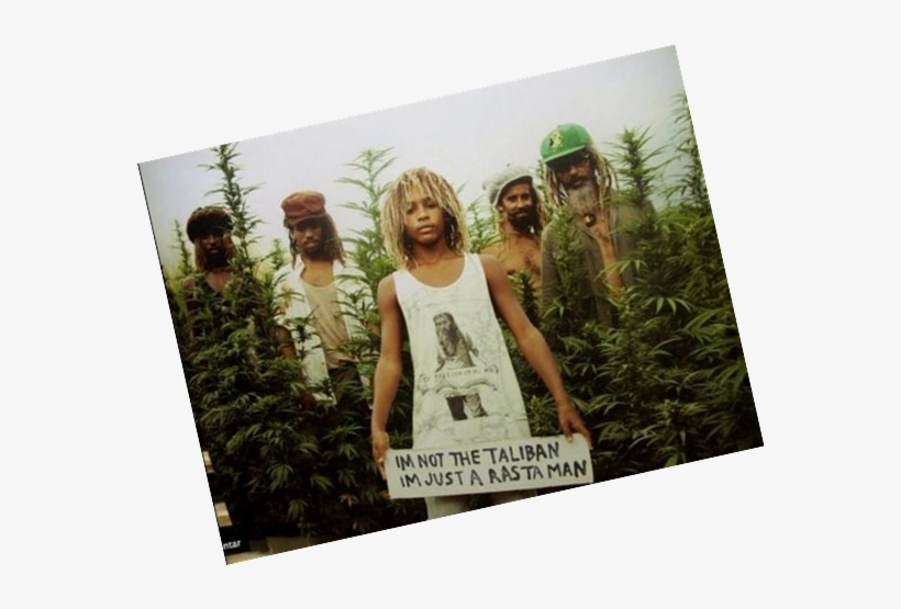 Through Picture1 Reggae Music - Taliban Im Just A Rastaman, transparent png download