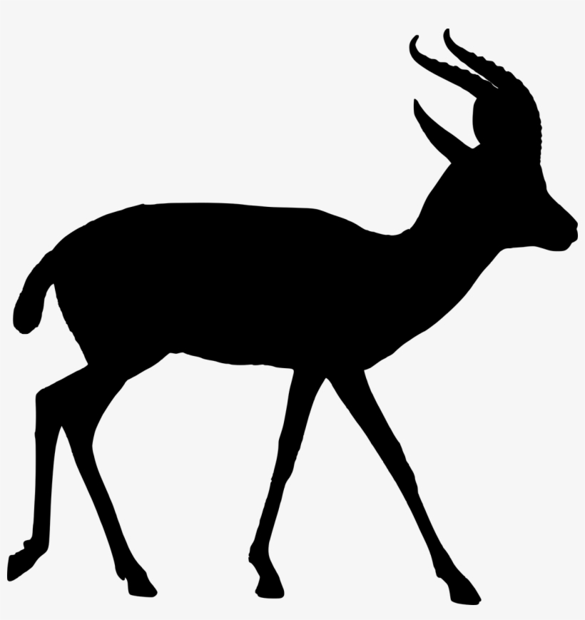 Vector Graphics,free Pictures - Animal Silhouette Vector Png, transparent png download