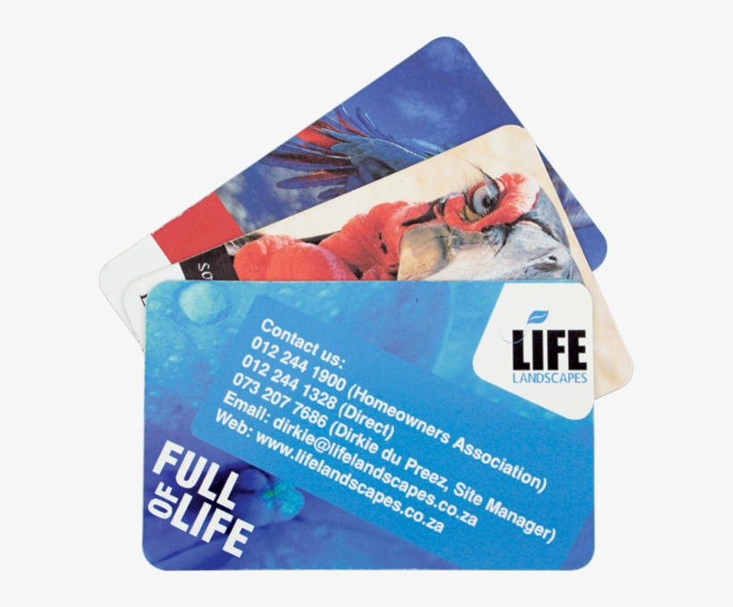 Business Card Fridge Magnet, Mag001 - Magnet, transparent png download