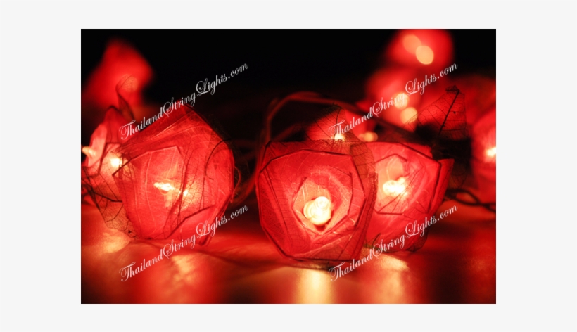 Event, transparent png download