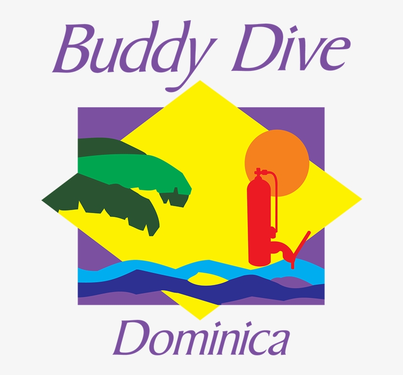 As Difficult As It Is, Buddy Dive Has Come To Terms - Bonaire Buddy Dive Resort, transparent png download