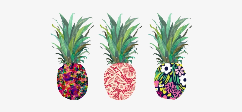 Tumblr Pineapple Png - Png Pineapple Transparent, transparent png download