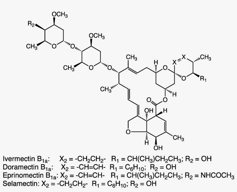 Derivatives Of Emamectin - Benzoato De Emamectina Formula, transparent png download