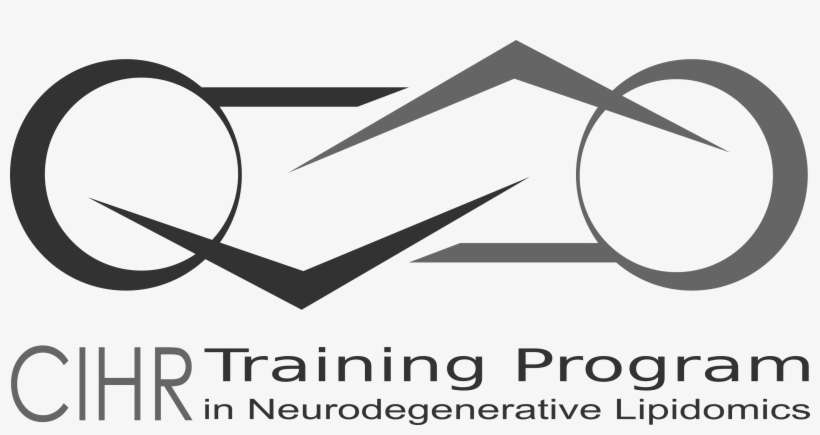 3036 X 1463 Px [ ] - Training, transparent png download