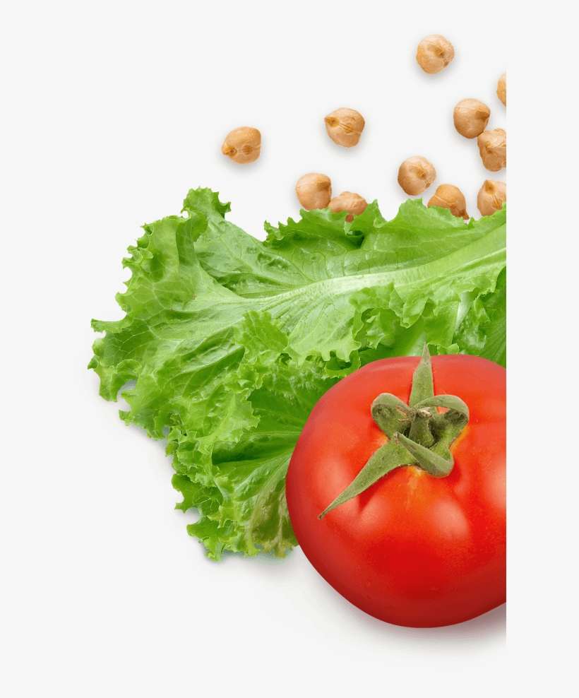 Cooking Classes - Lettuce And Tomatoes Png, transparent png download