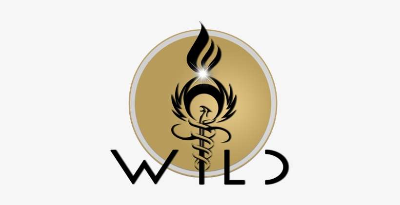 [wild] We Immortals - Guild Wars 2, transparent png download