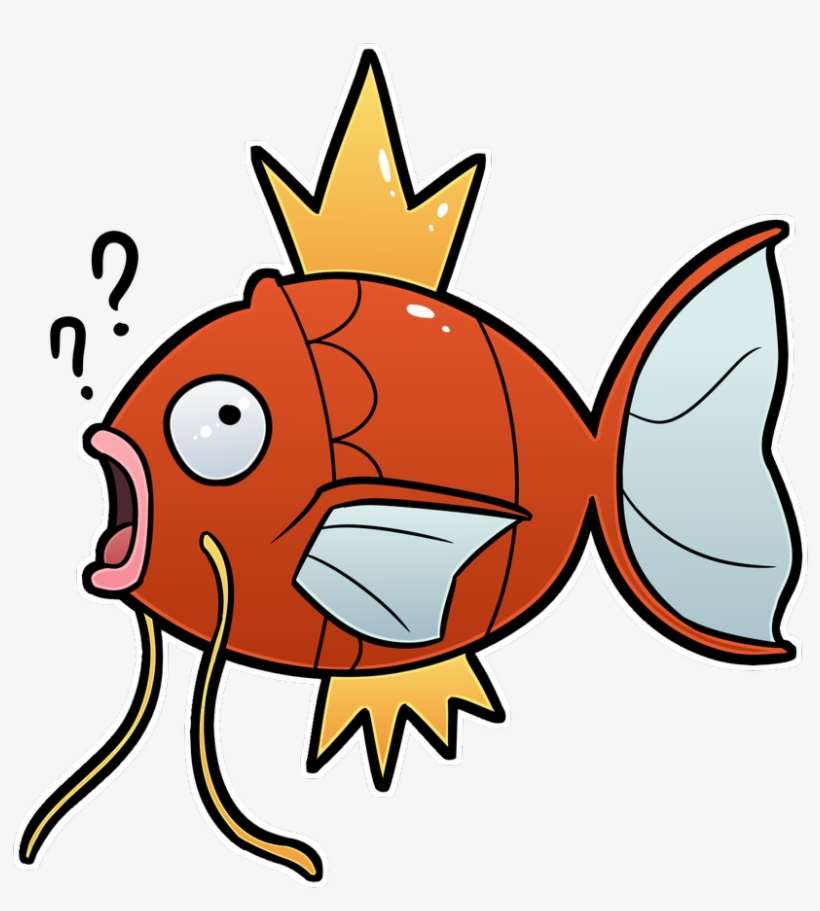Michelle Thonger On Twitter - Coral Reef Fish, transparent png download