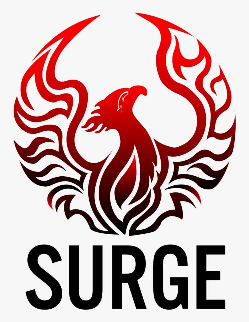 Cropped Surge 02 » Cropped Surge 02 - Stop Common Core Shirt, transparent png download