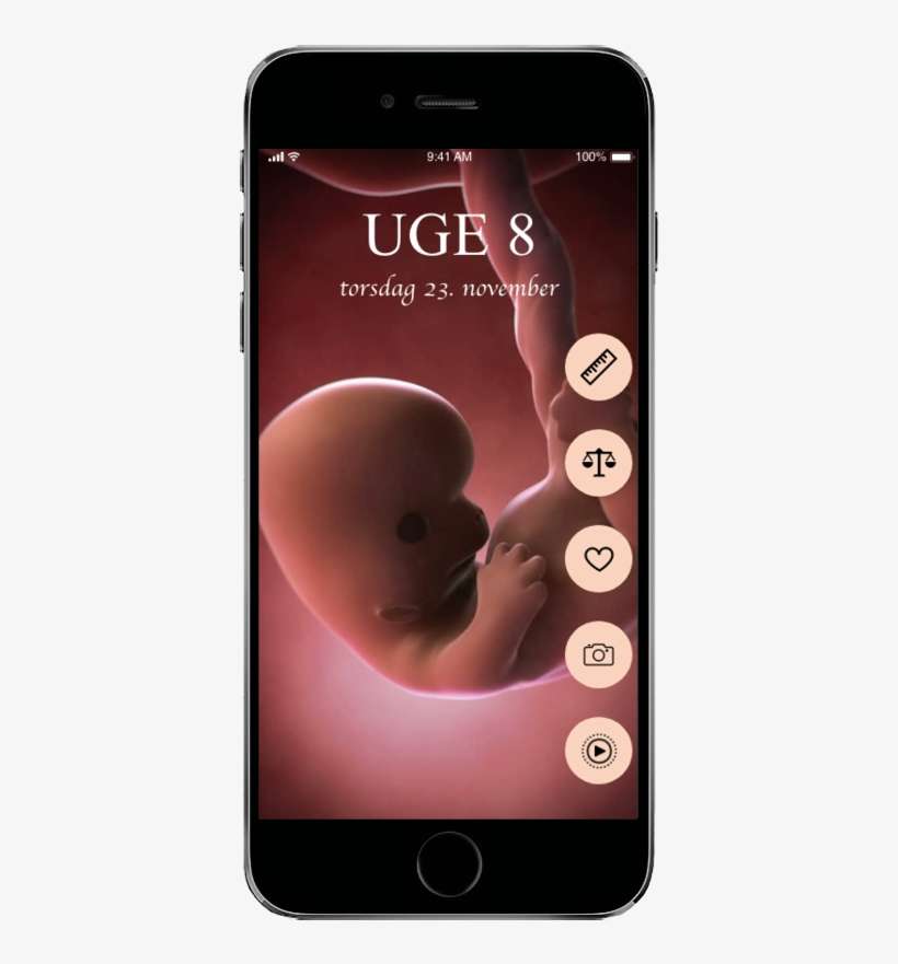 Livestream Your Baby - Infant, transparent png download