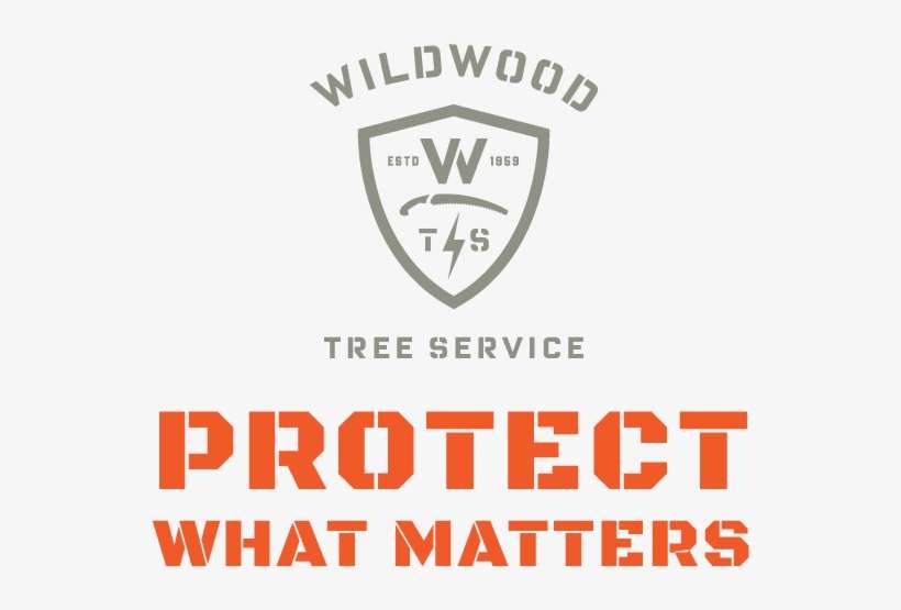 Wts Protect Matters - Project, transparent png download