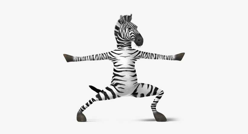Zebra Pen - Zen Zebra, transparent png download