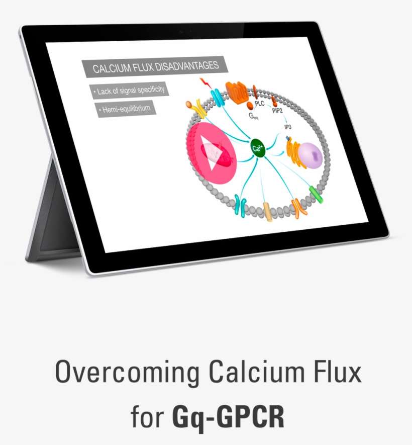 A Video Guide To Unlocking A New Dimension In Gq Signaling - Microsoft Dynamics 365, transparent png download