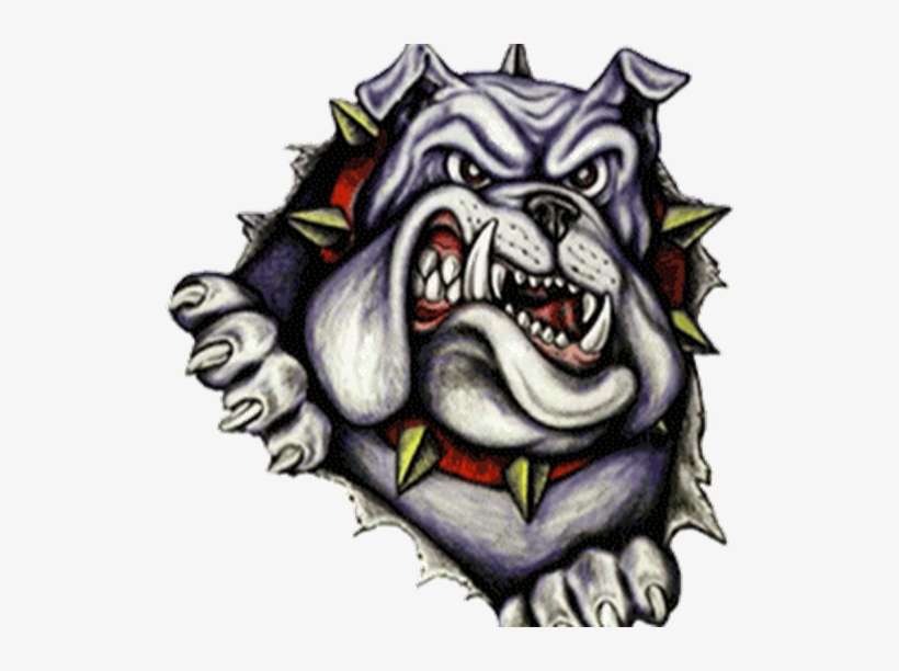 Photo - Bulldogs Logo, transparent png download