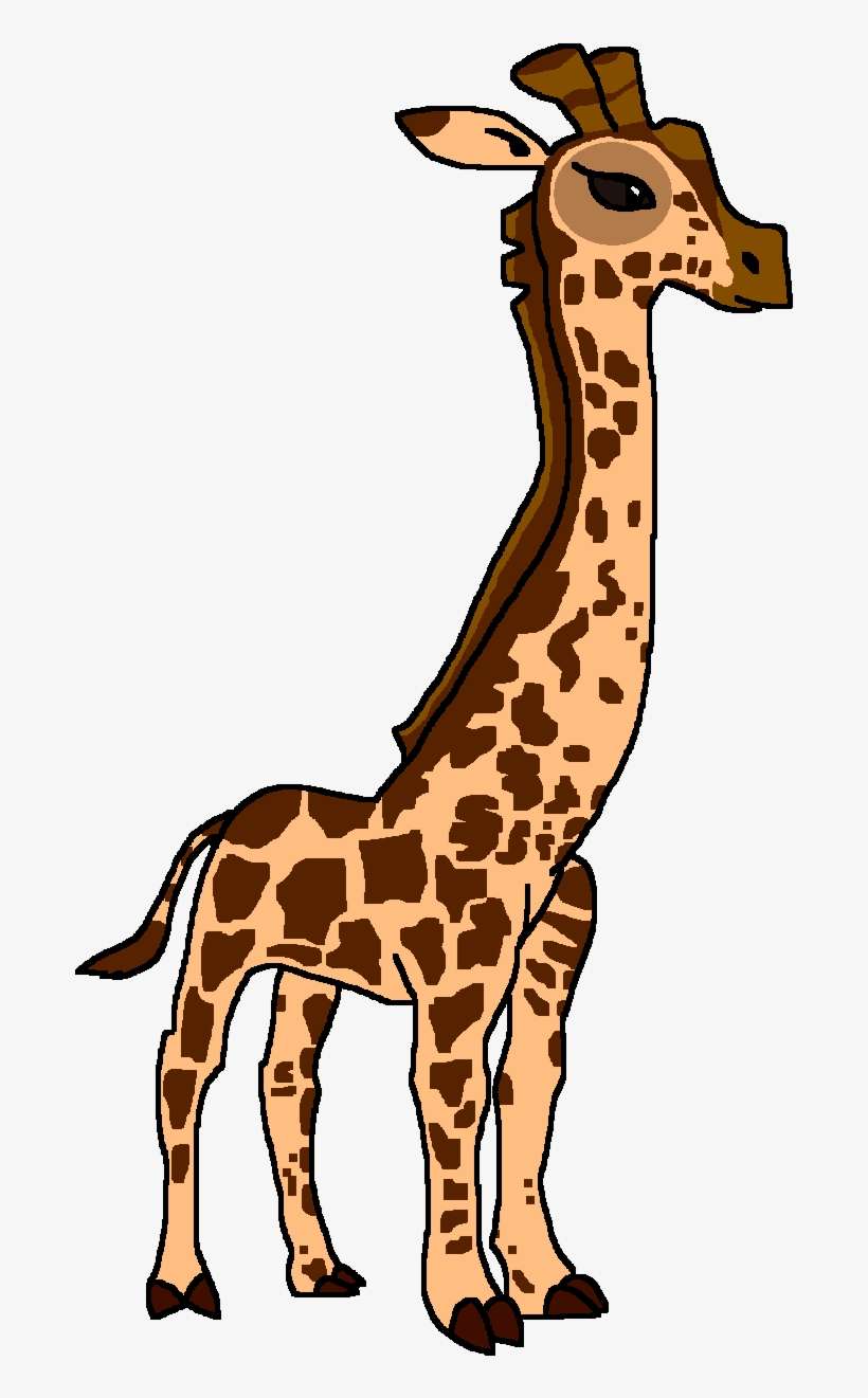 Masai Giraffe, transparent png download