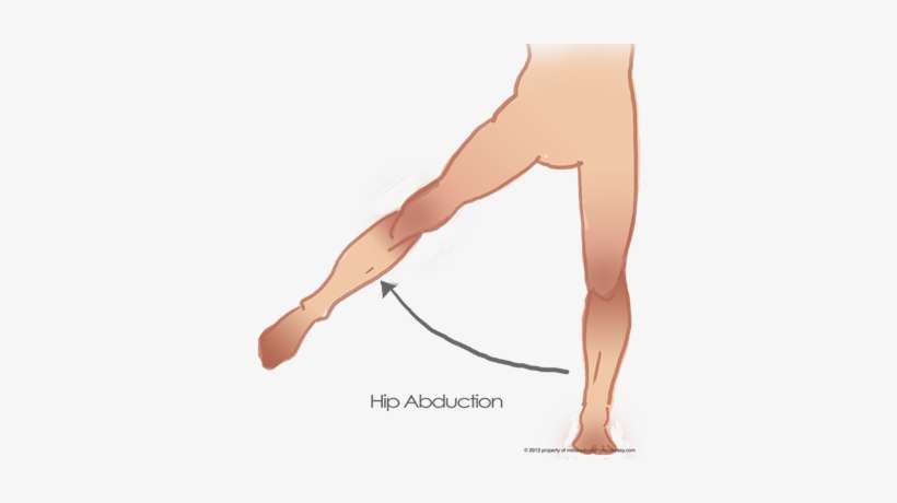 Hip Adduction - Lesion Of Obturator Nerve, transparent png download
