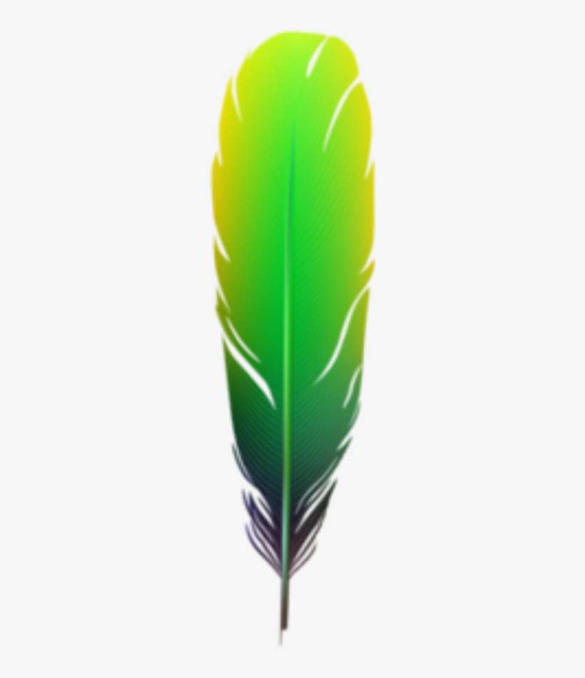 Feather Feathers Boho Bohemian Bohofeathers Tribal - Picsart Photo Studio, transparent png download