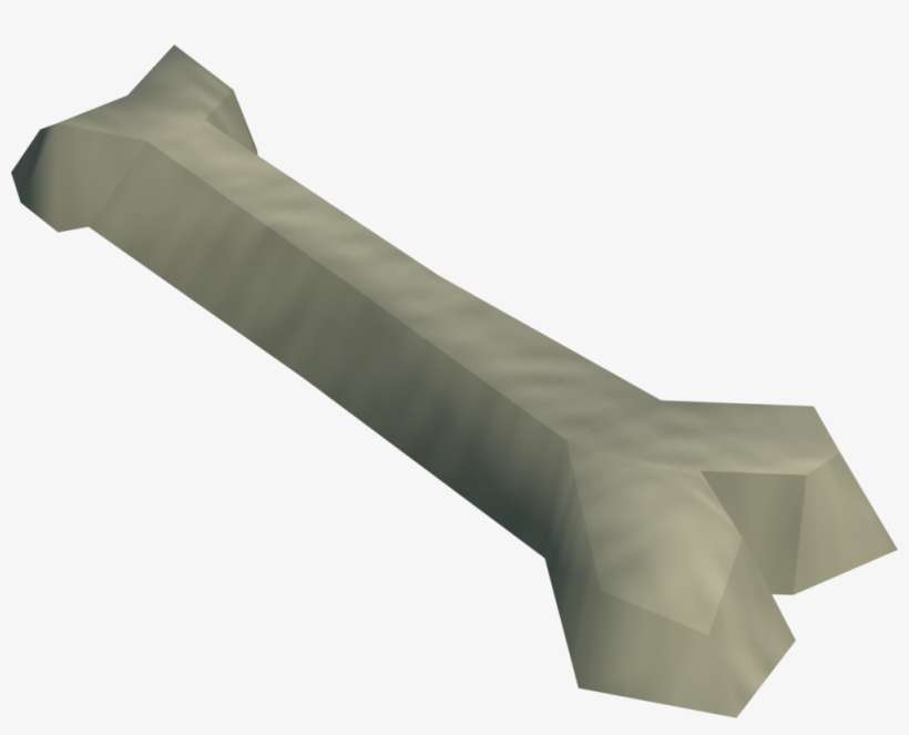Femur Bone Detail - Wiki, transparent png download