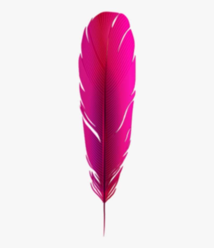 Feather Feathers Boho Bohemian Bohofeathers Tribal - Feather, transparent png download