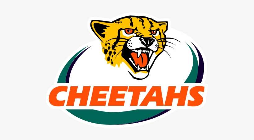 Super Rugby 2013 Preview - Super Rugby Cheetahs Logo, transparent png download
