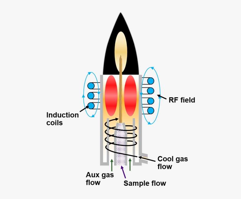 Plant Cell, transparent png download