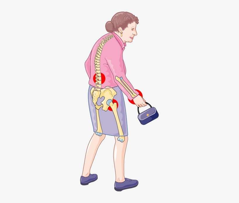 Old - Elderly, transparent png download