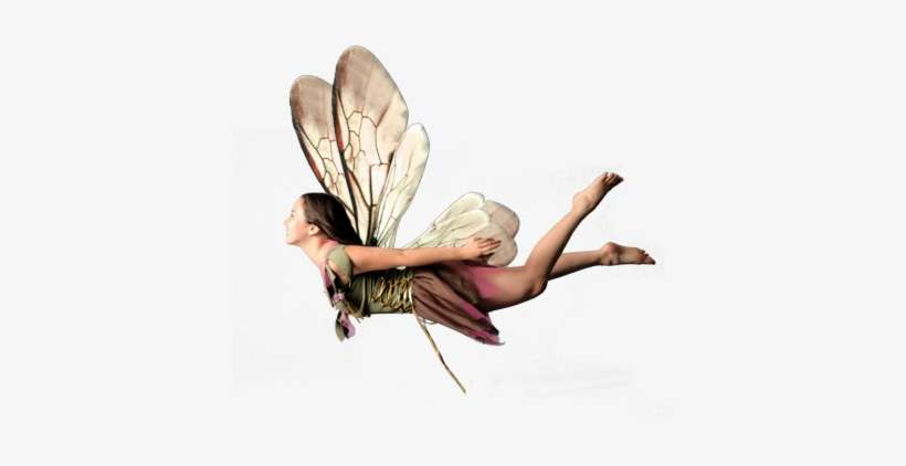 Fairy Psd - Adobe Photoshop, transparent png download