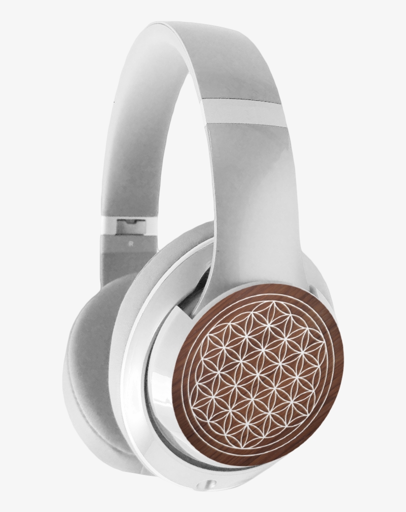 Palm Trees, transparent png download