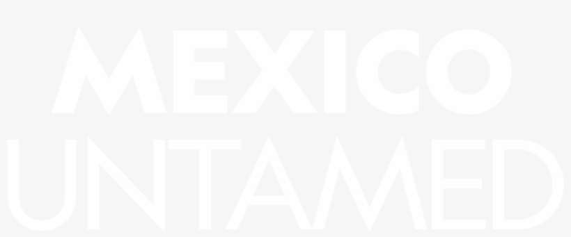 Poster, transparent png download