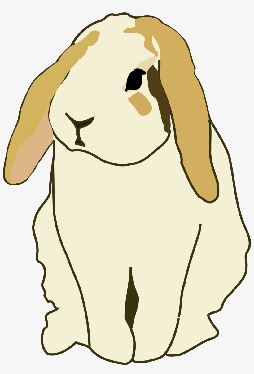 How To Set Use Lop Eared Rabbit Clipart, transparent png download