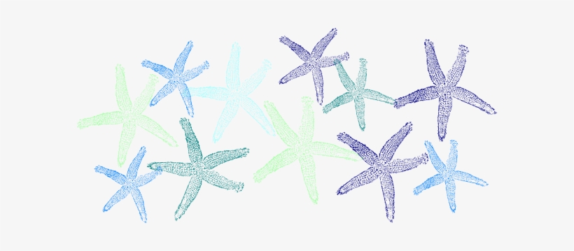 How To Set Use Green And Blue Starfish Clipart, transparent png download