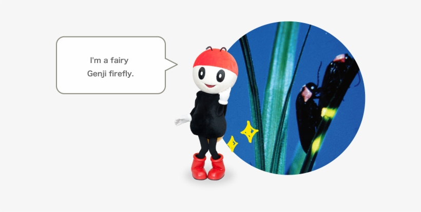 ワタシはゲンジボタルの妖精なんだよ！ - Luciola Cruciata, transparent png download
