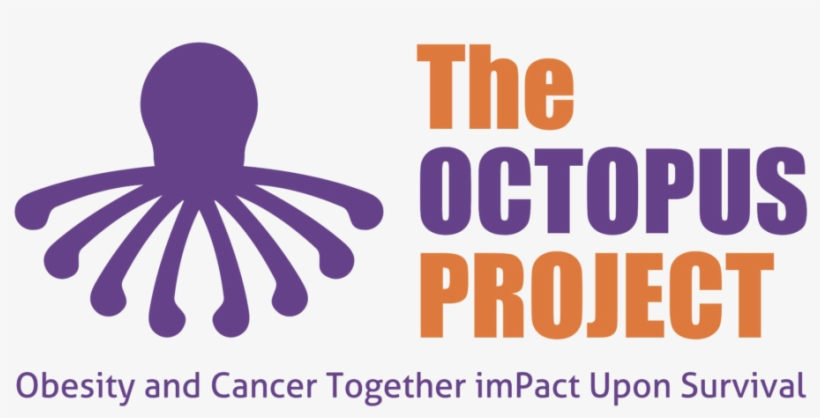 Obesity And Cancer - Manhattan Bail Project, transparent png download