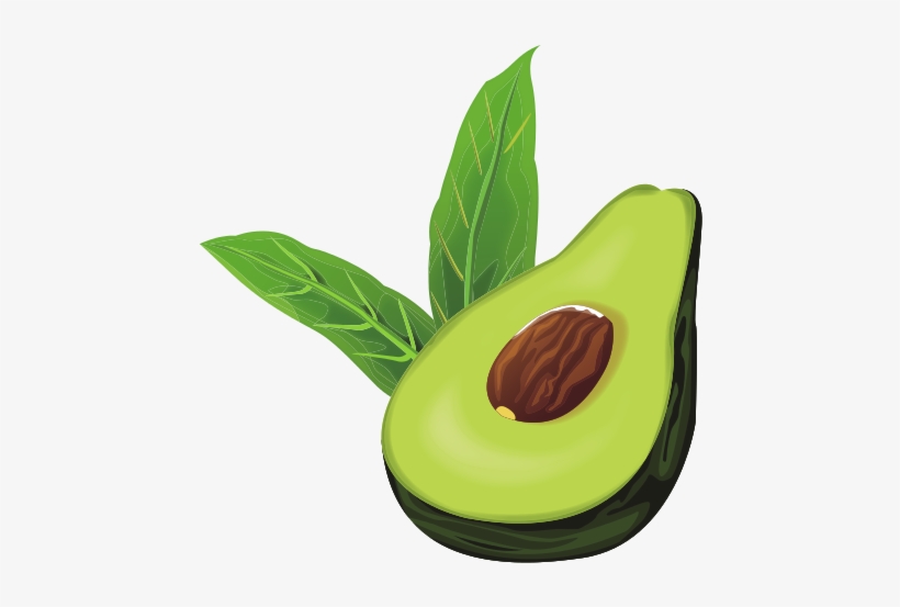 Avocado Half Cut - Avocado, transparent png download