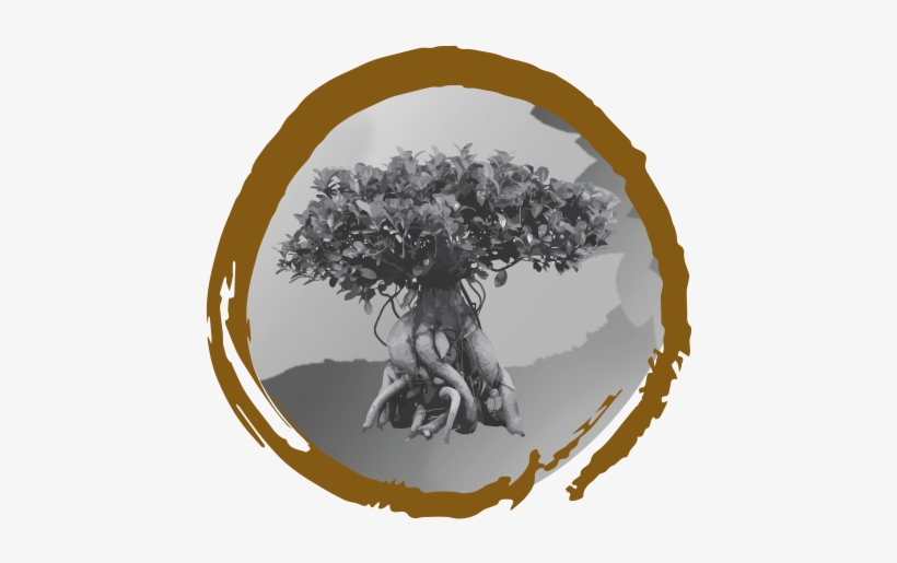 Nl/media/zencircle Ficus Ginseng Rgb /static/orientalonline - Online And Offline, transparent png download