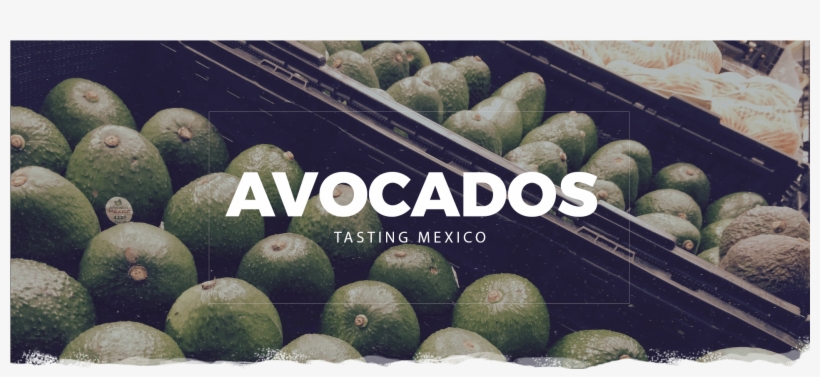 Avocado, transparent png download
