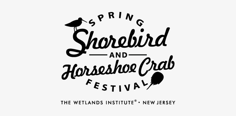 Tickets - Horseshoe Crab, transparent png download